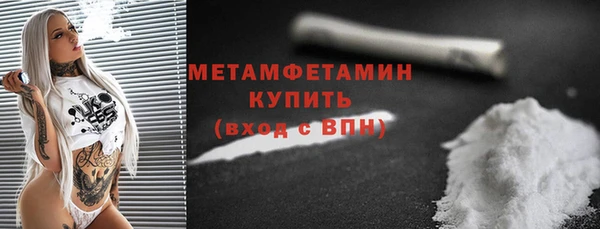 индика Богородск