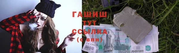 индика Богородск