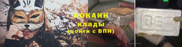 индика Богородск