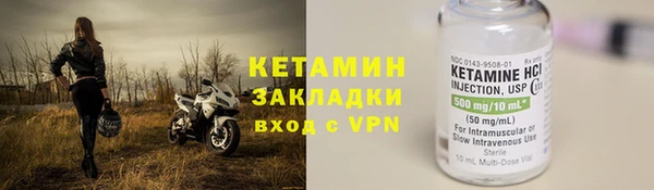 индика Богородск