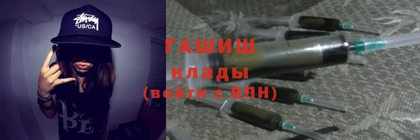 индика Богородск