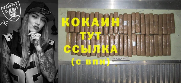 индика Богородск