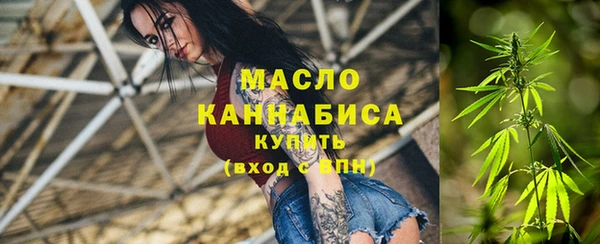индика Богородск
