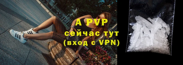 индика Богородск